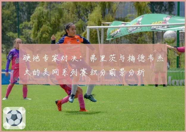 硬地专家对决：弗里茨与梅德韦杰夫的美网系列赛积分前景分析